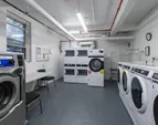 Web Position 12