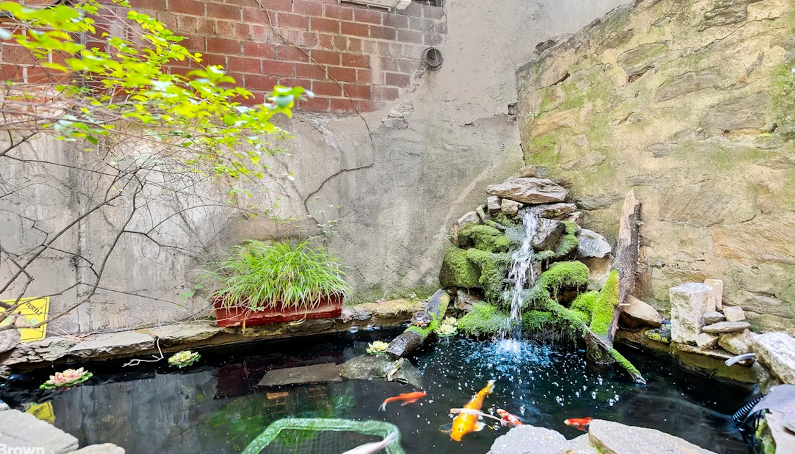 Web Position 11