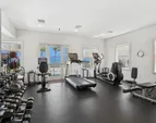 Fitness
