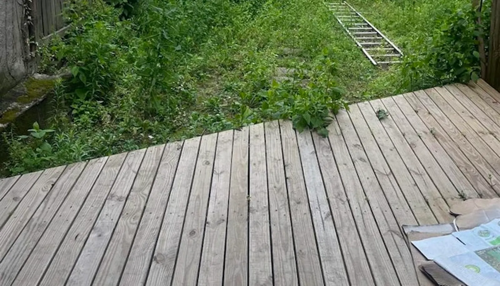 Web Position 2