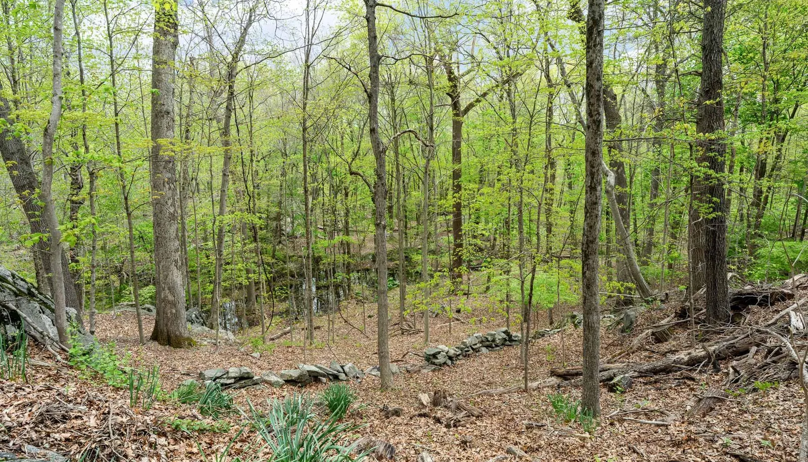 42 Stone Brook Ln 08 - WEB