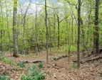 42 Stone Brook Ln 08 - WEB