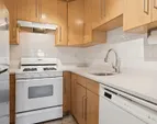 Web Position 7