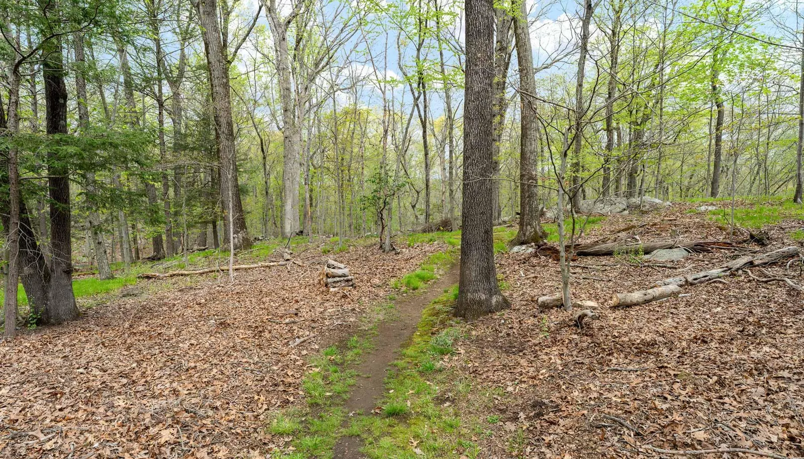 42 Stone Brook Ln 09 - WEB