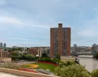 Web Position 19