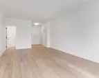 Web Position 3