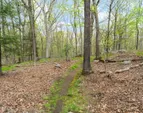42 Stone Brook Ln 09 - WEB