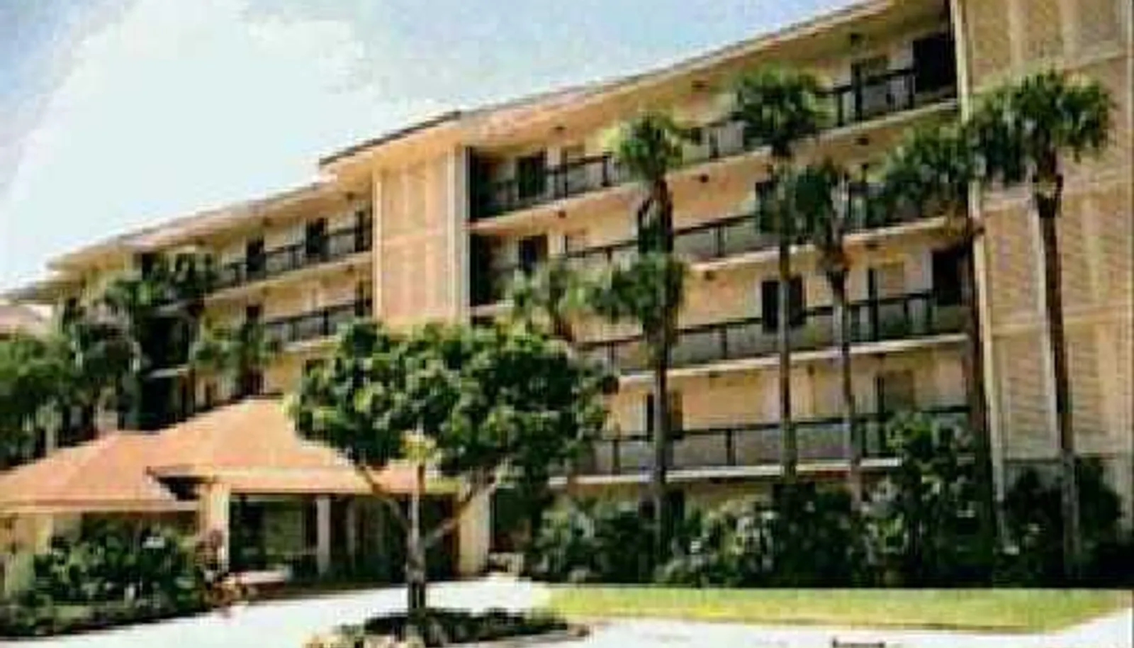Primary Photo